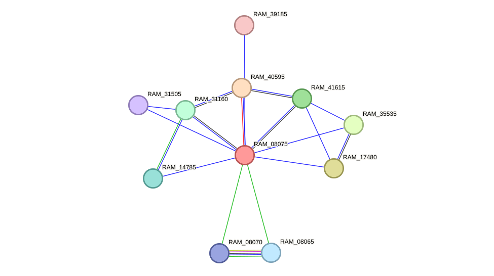 STRING protein interaction network