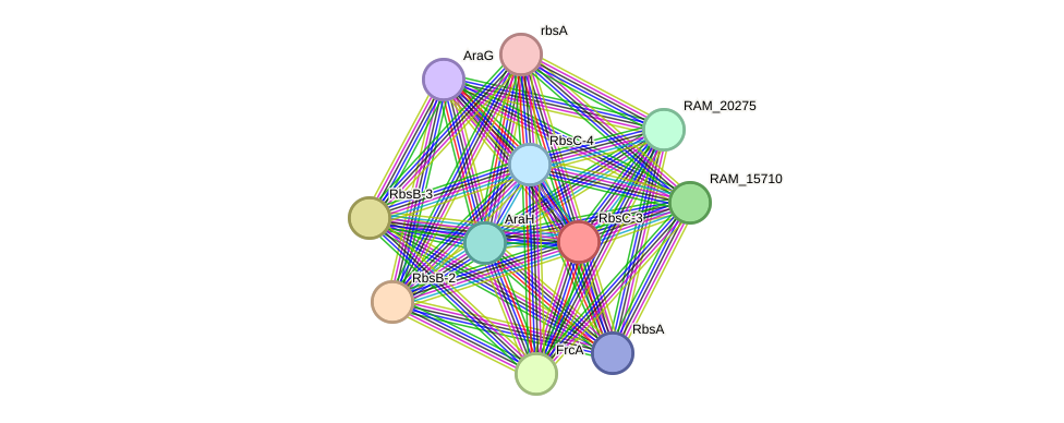 STRING protein interaction network