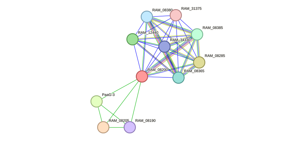 STRING protein interaction network