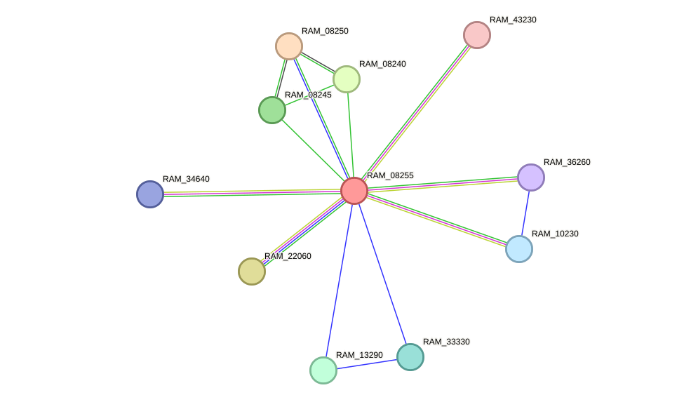STRING protein interaction network