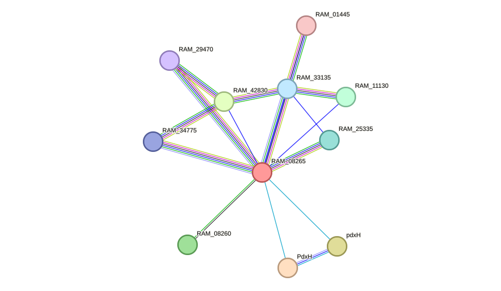 STRING protein interaction network
