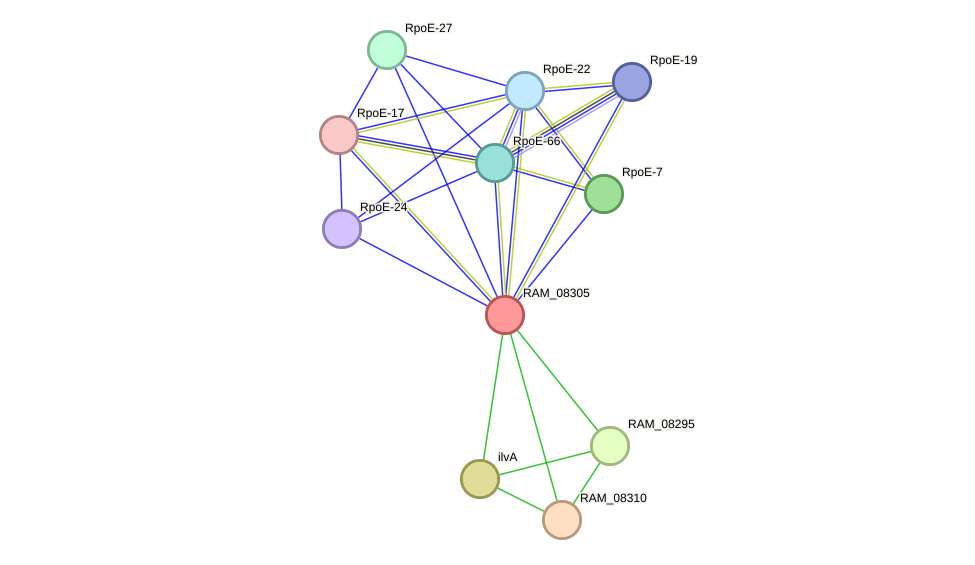 STRING protein interaction network