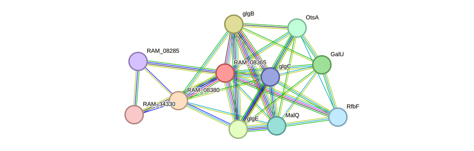 STRING protein interaction network
