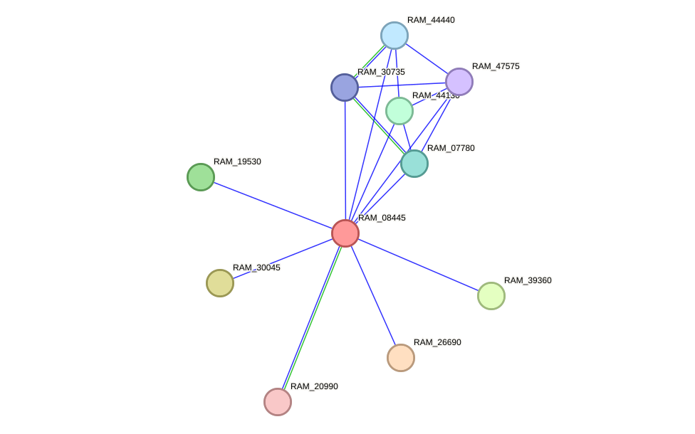 STRING protein interaction network