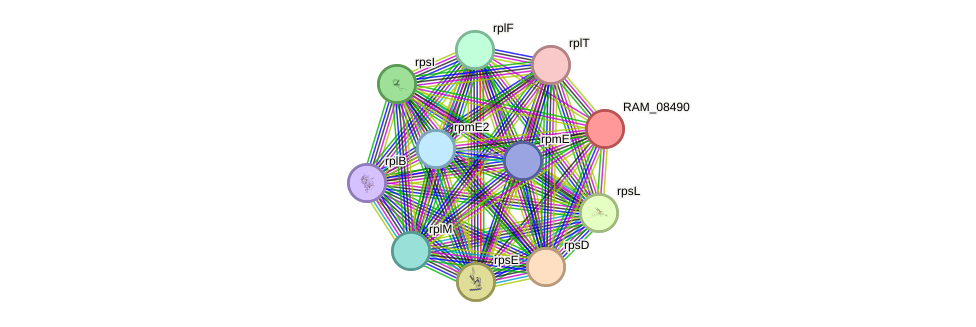 STRING protein interaction network