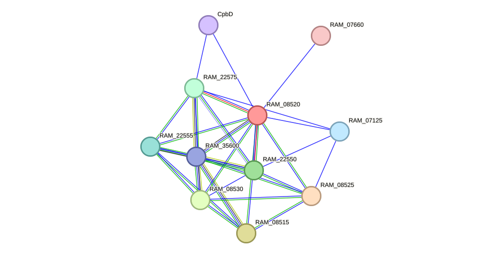 STRING protein interaction network
