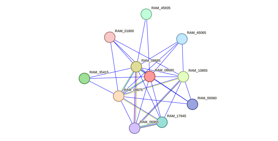 STRING protein interaction network