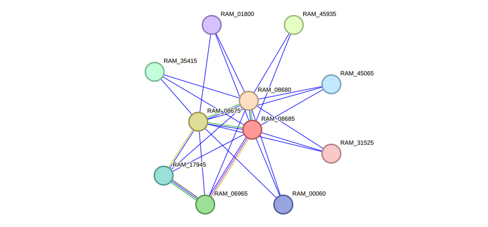 STRING protein interaction network