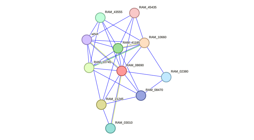 STRING protein interaction network