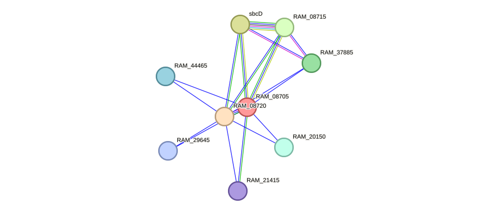 STRING protein interaction network