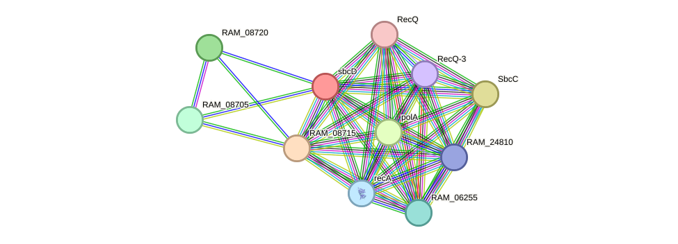 STRING protein interaction network