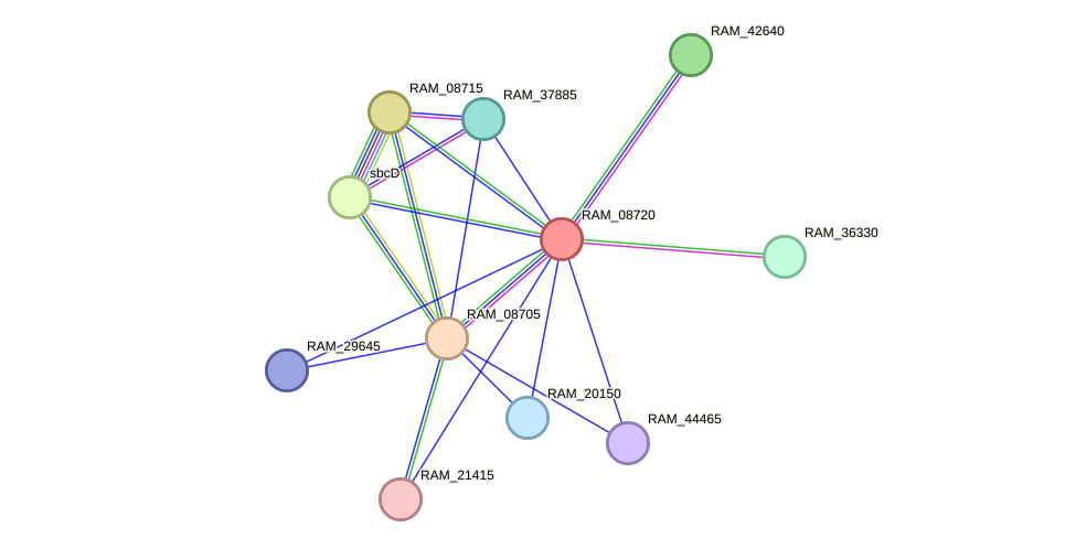 STRING protein interaction network