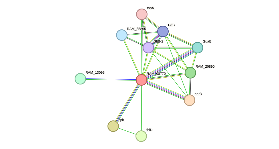 STRING protein interaction network