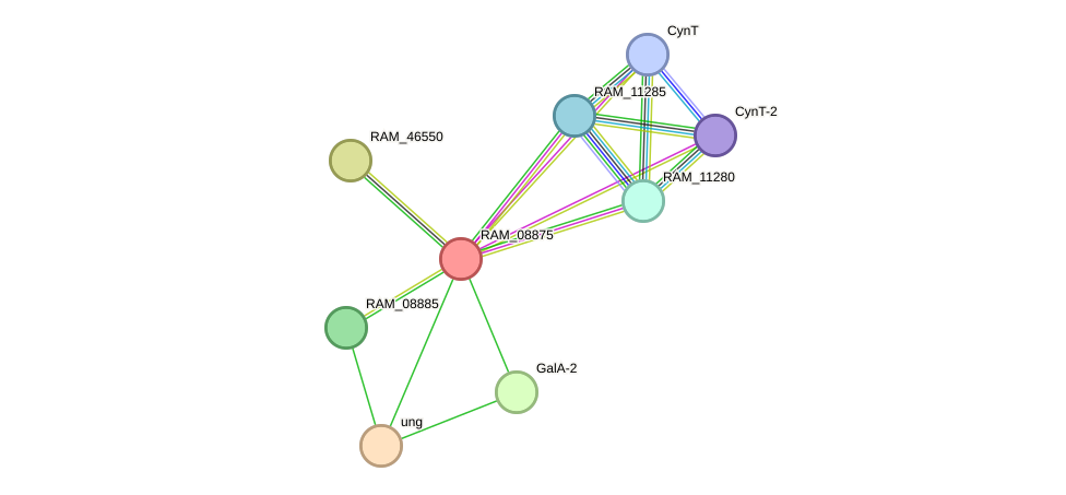 STRING protein interaction network