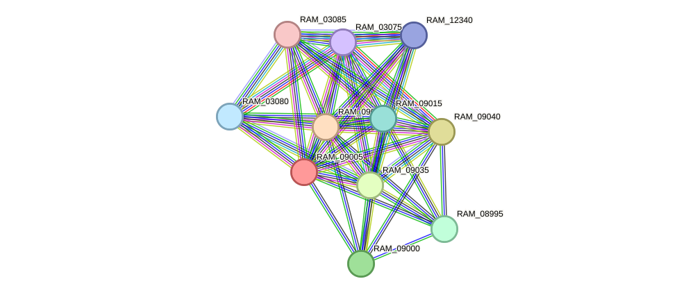 STRING protein interaction network