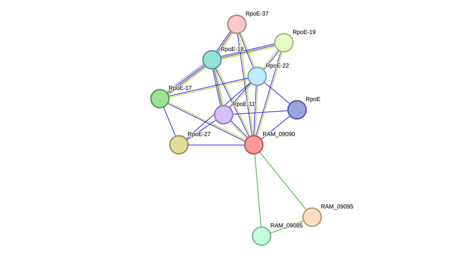 STRING protein interaction network