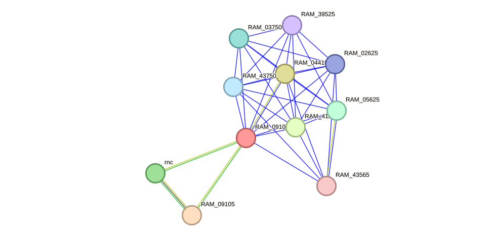 STRING protein interaction network