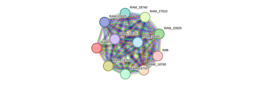 STRING protein interaction network