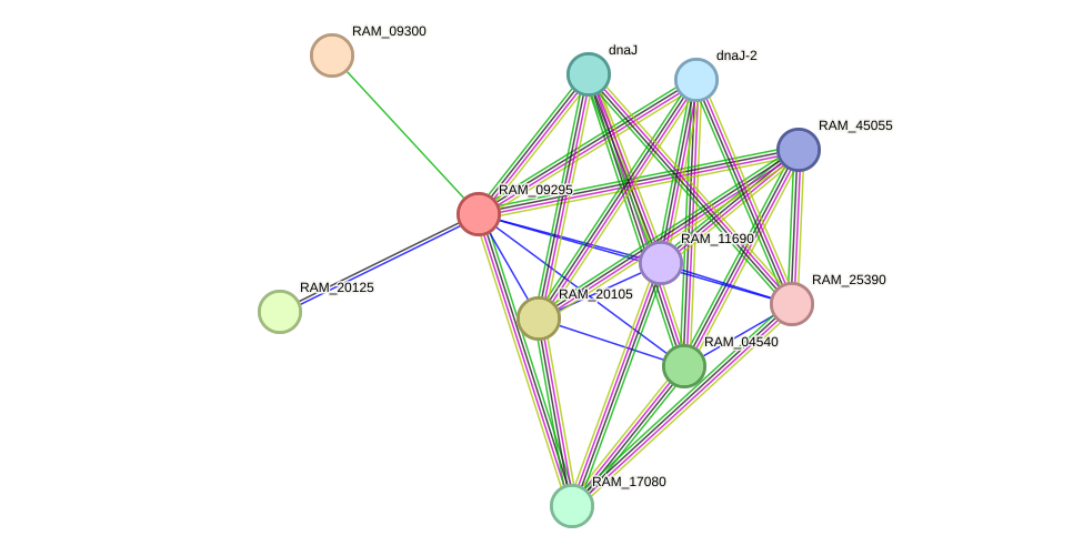 STRING protein interaction network