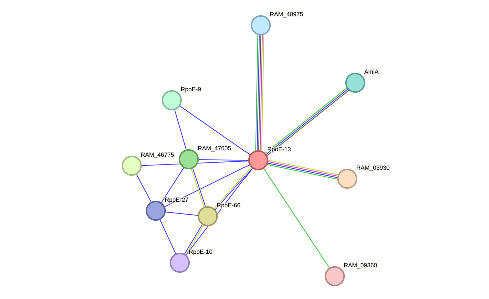 STRING protein interaction network