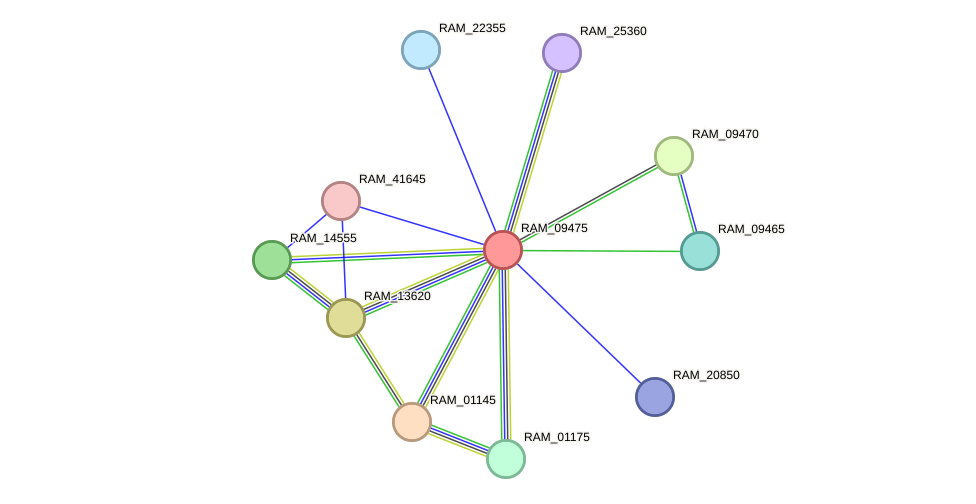 STRING protein interaction network
