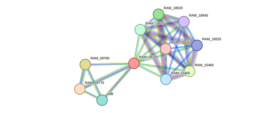 STRING protein interaction network