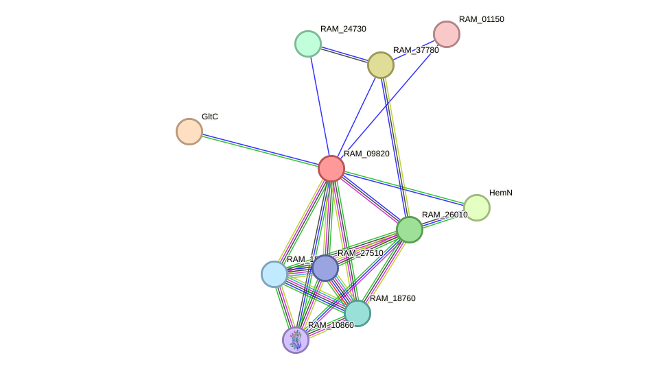 STRING protein interaction network