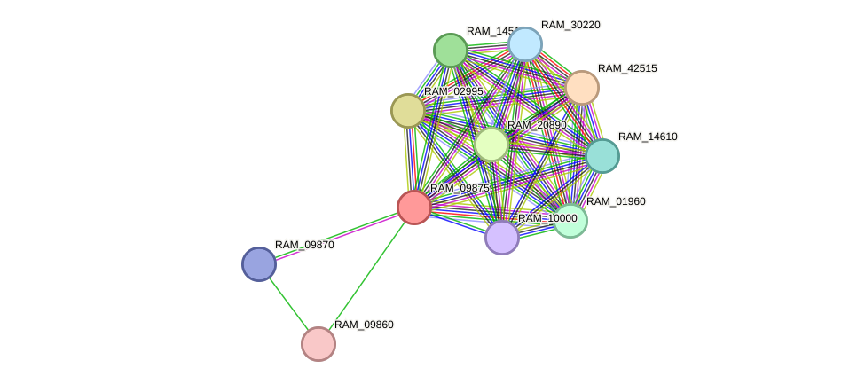 STRING protein interaction network