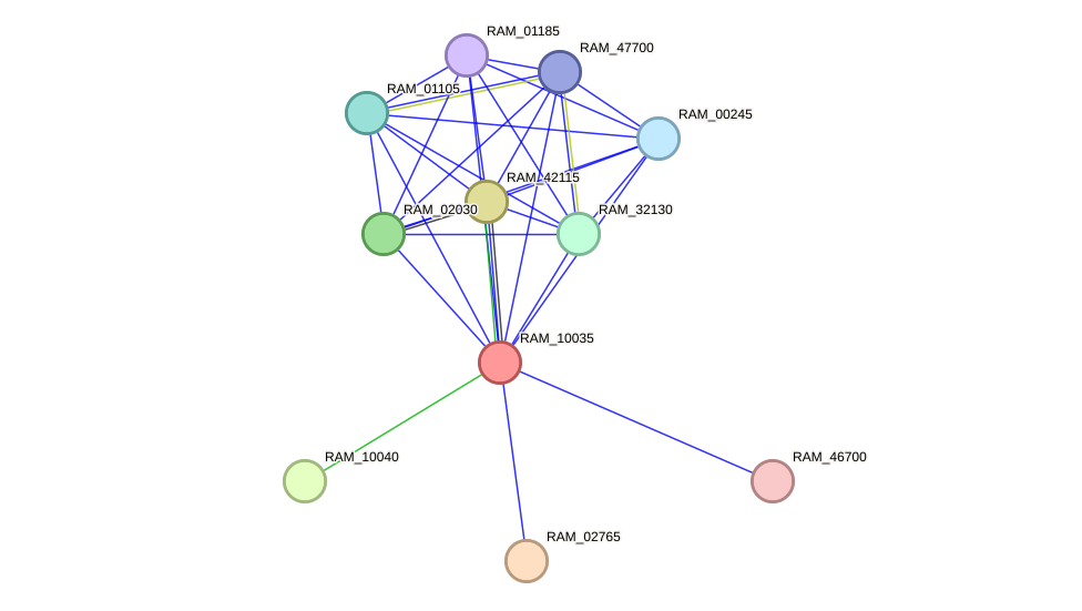 STRING protein interaction network