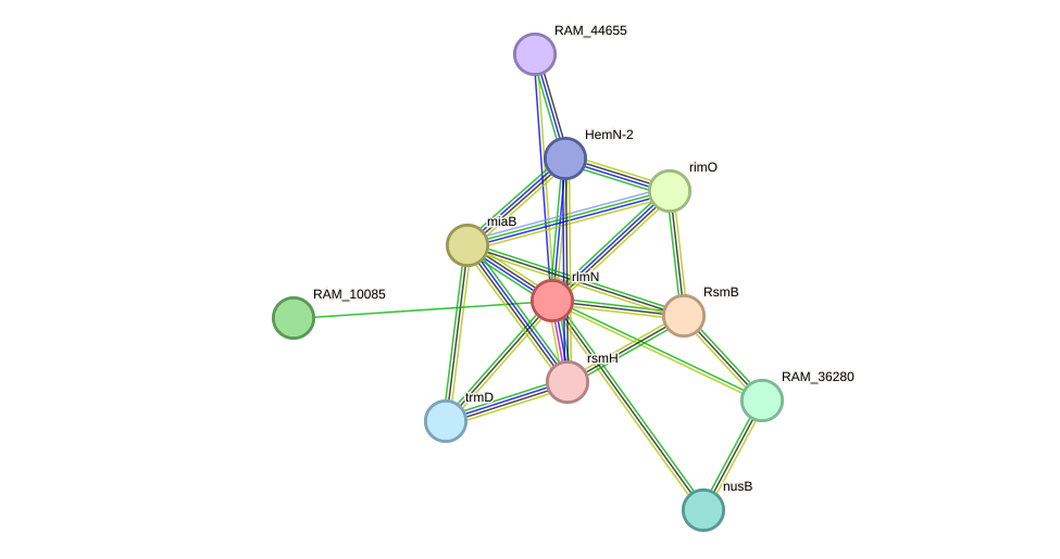STRING protein interaction network