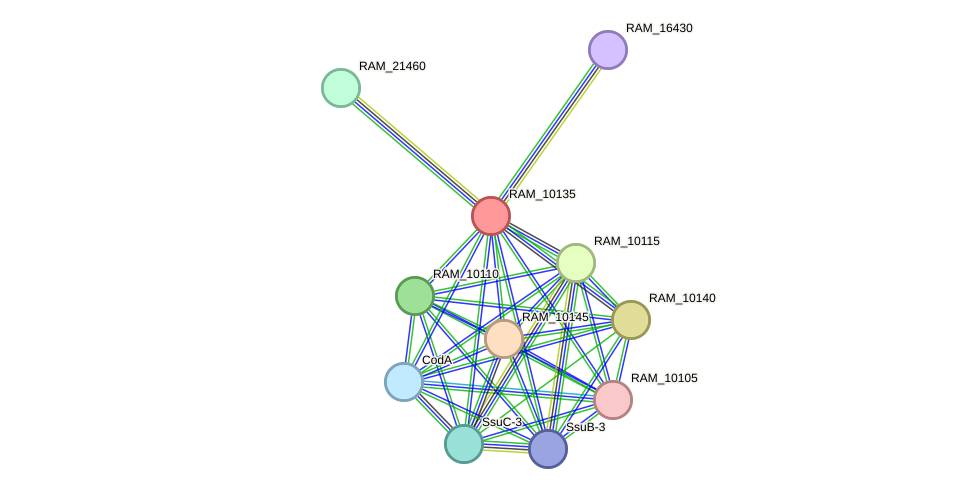 STRING protein interaction network
