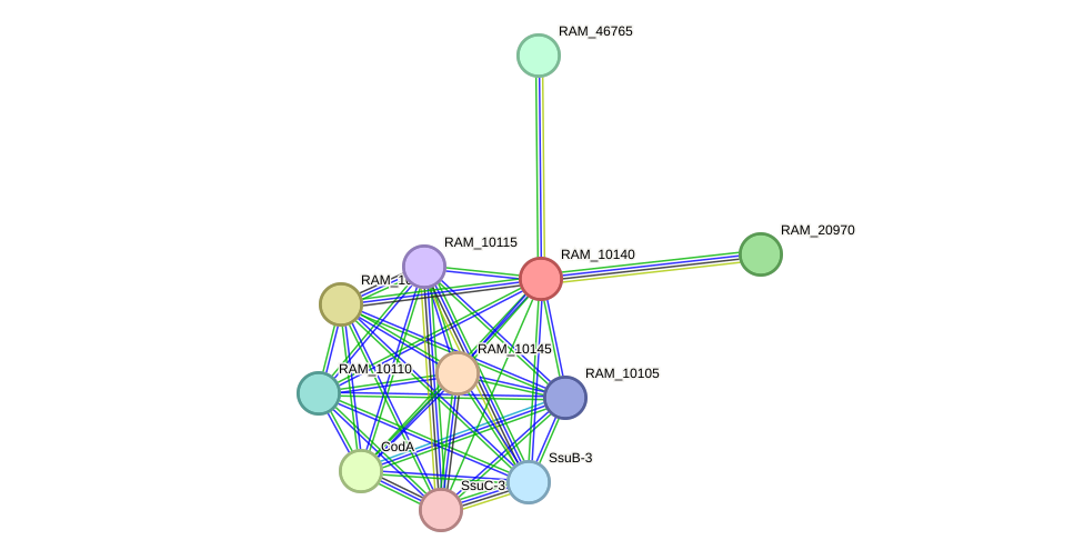 STRING protein interaction network