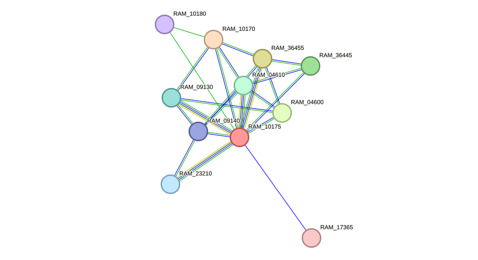 STRING protein interaction network