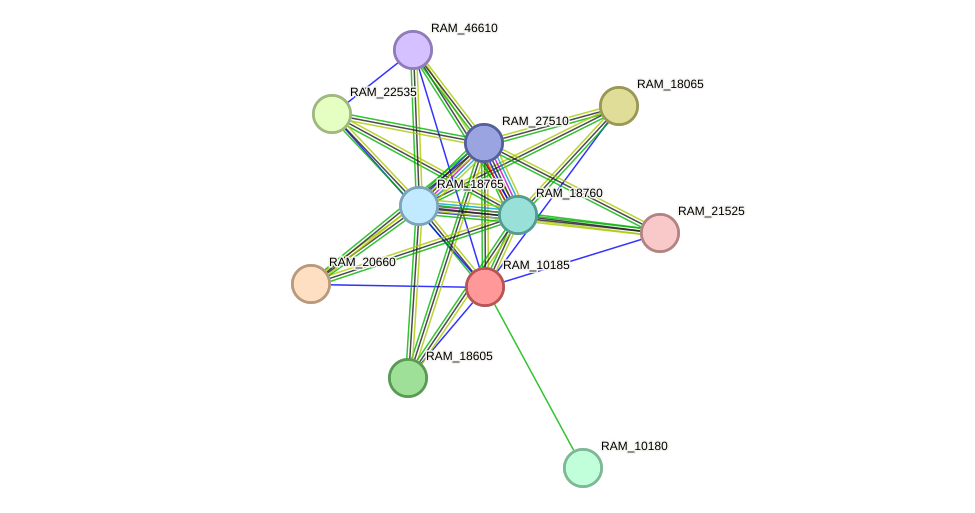 STRING protein interaction network
