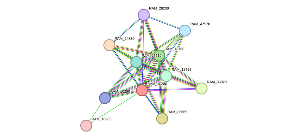 STRING protein interaction network