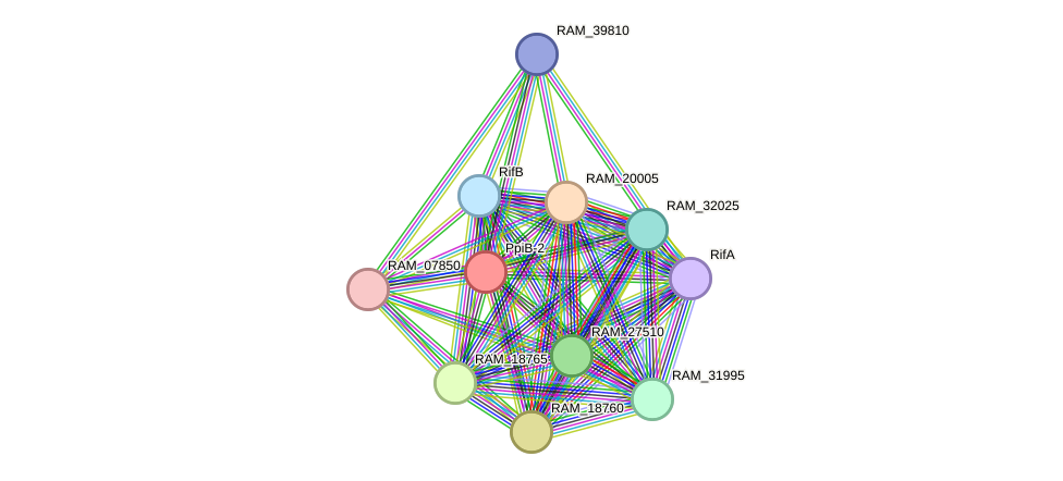 STRING protein interaction network