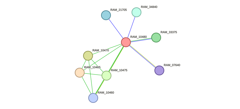 STRING protein interaction network