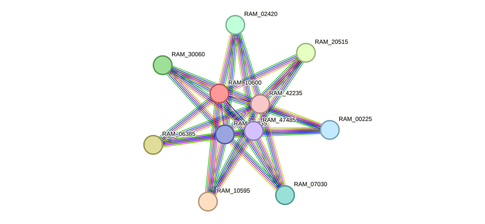 STRING protein interaction network