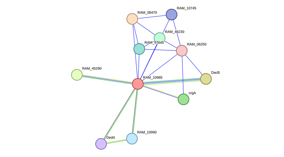 STRING protein interaction network