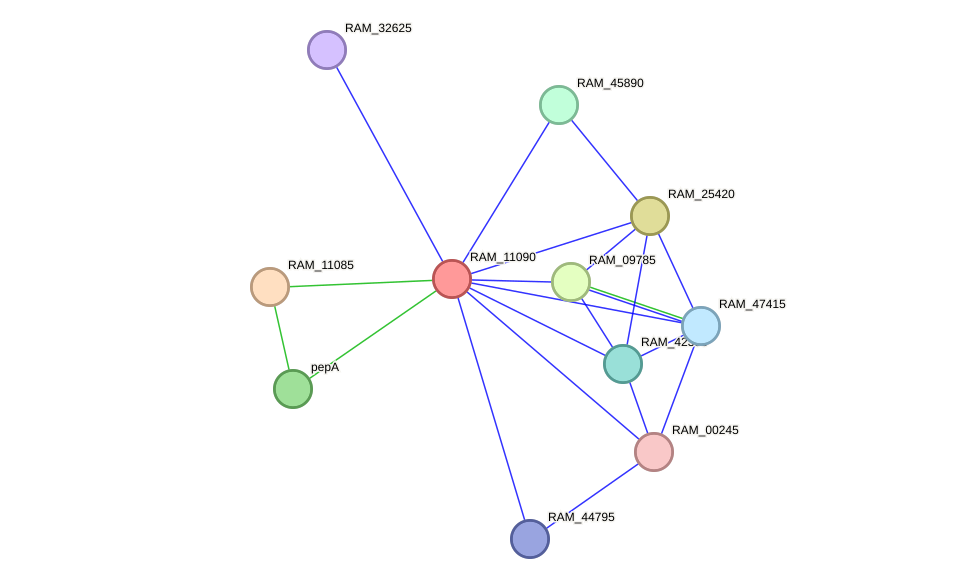 STRING protein interaction network