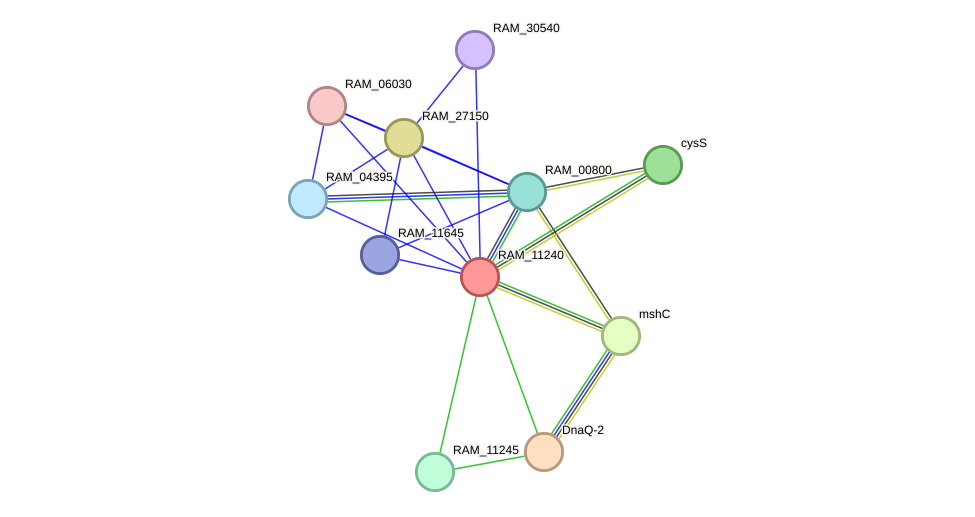 STRING protein interaction network