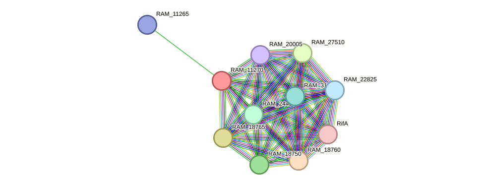 STRING protein interaction network