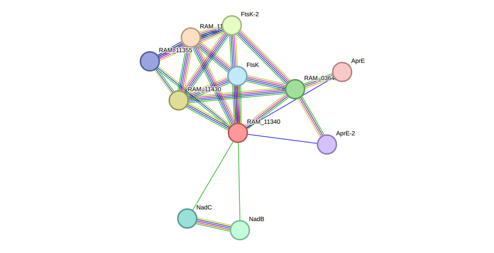 STRING protein interaction network