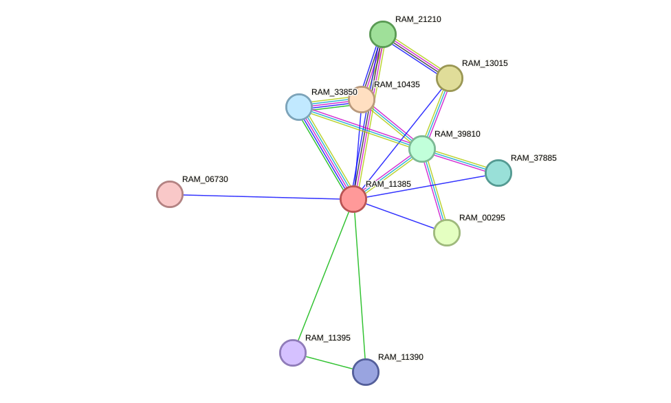 STRING protein interaction network