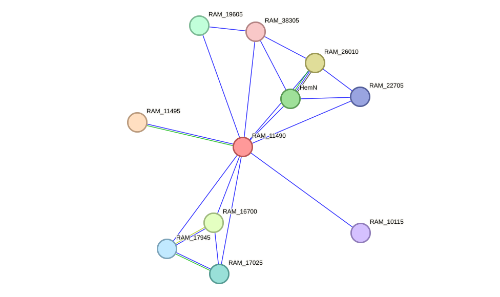 STRING protein interaction network