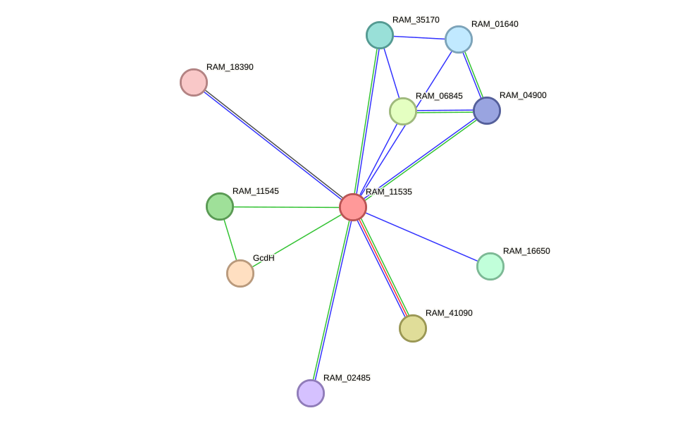 STRING protein interaction network