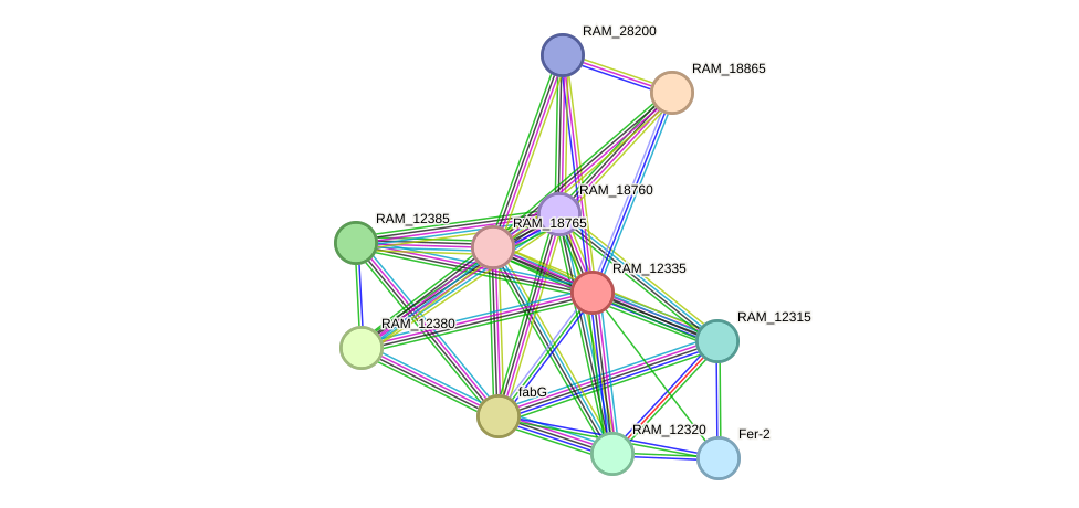 STRING protein interaction network