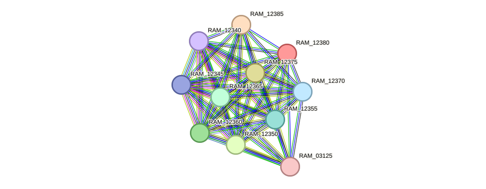STRING protein interaction network