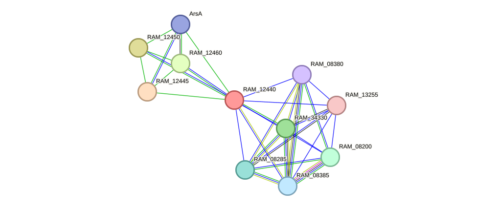 STRING protein interaction network