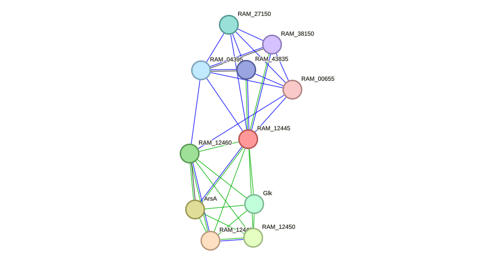 STRING protein interaction network